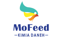 Mofeed